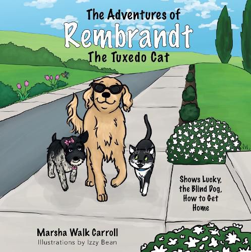 Cover image for The Adventures of Rembrandt the Tuxedo Cat: Shows Lucky, the Blind Dog, How to Get Home