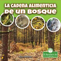 Cover image for La Cadena Alimenticia de Un Bosque