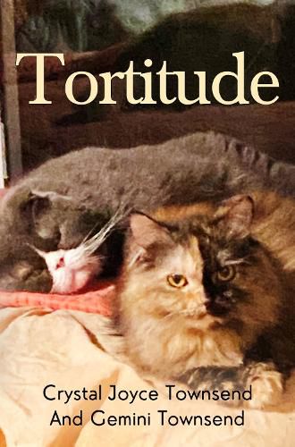 Cover image for Tortitude