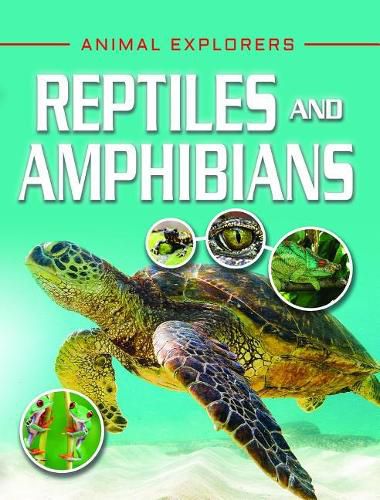 Cover image for Reptiles and Amphibians