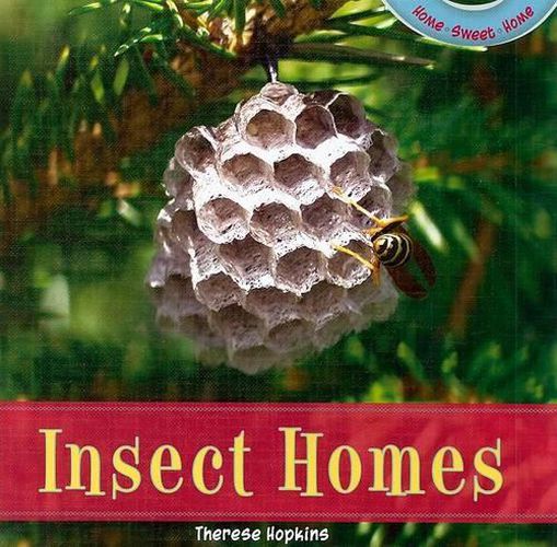 Cover image for Insect Homes