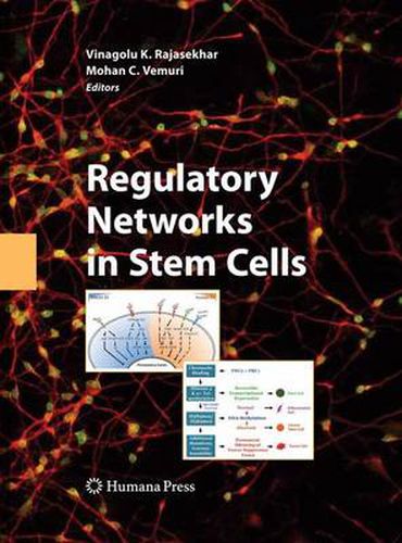 Cover image for Regulatory Networks in Stem Cells