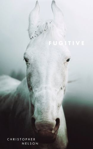Cover image for Fugitive