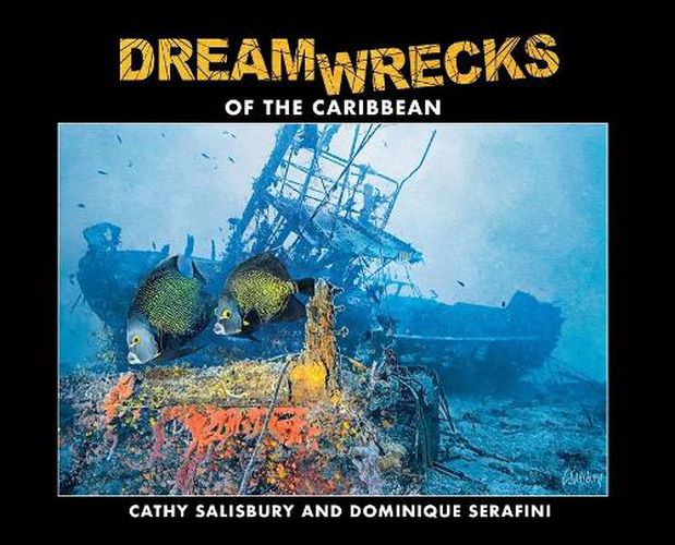 DreamWrecks of the Caribbean: Diving the best shipwrecks of the region