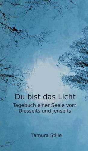 Cover image for Du bist das Licht: Tagebuch einer Seele vom Diesseits und Jenseits