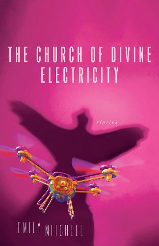 Cover image for The Church of Divine Electricity