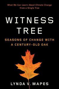 Cover image for Witness Tree: Seasons of Change with a Century-Old Oak