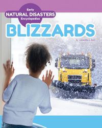 Cover image for Blizzards