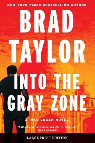 Cover image for Into the Gray Zone