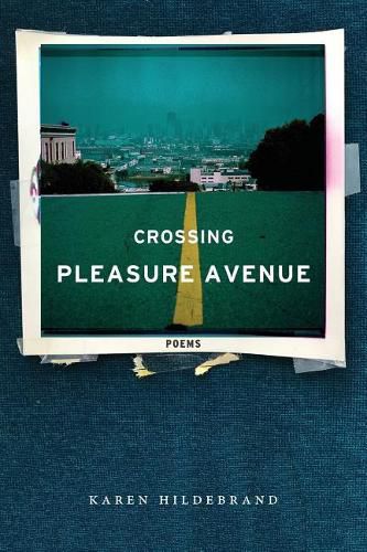 Cover image for Crossing Pleasure Avenue