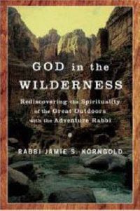 Cover image for God in Wilderness