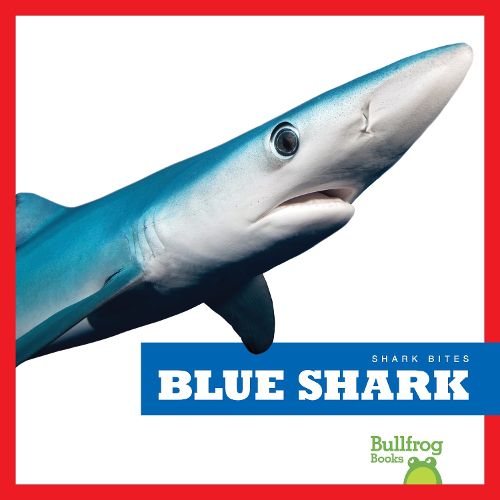 Cover image for Blue Shark