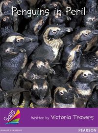 Cover image for Sails Fluency Purple: Penguins in Peril