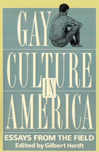 Cover image for Gay Culture in America: Essays from the Field