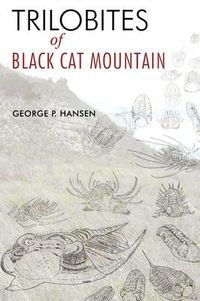 Cover image for Trilobites of Black Cat Mountain