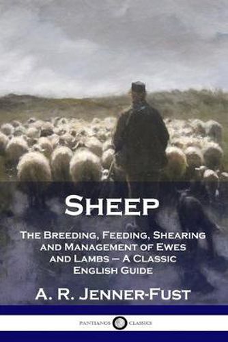 Cover image for Sheep: The Breeding, Feeding, Shearing and Management of Ewes and Lambs - A Classic English Guide