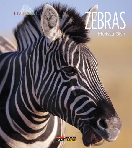 Cover image for Zebras