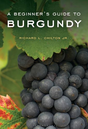 Cover image for A Beginner's Guide to Burgundy