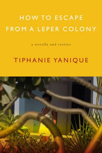 Cover image for How To Escape From A Leper Colony: A Novella and Stories