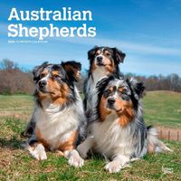 Cover image for Australian Shepherds 2024 Square