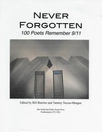 Cover image for Never Forgotten