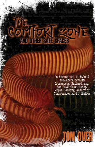 Cover image for The Comfort Zone and Other Safe Spaces
