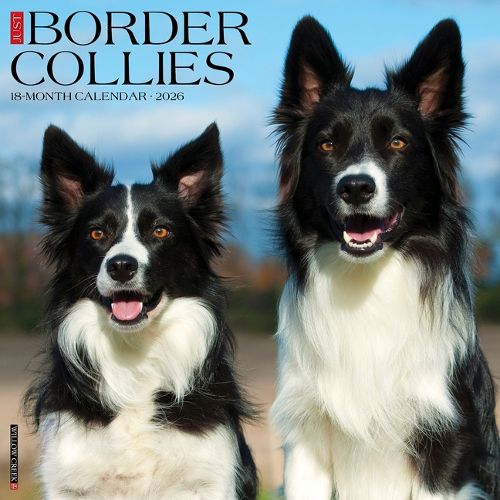 Cover image for Border Collies 2026 Wall Calendar