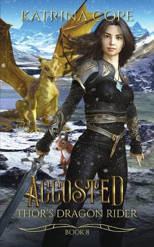 Cover image for Accosted