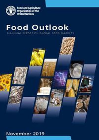 Cover image for Food outlook: biannual report on global food markets, November 2019