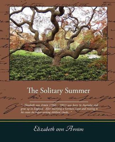 Cover image for The Solitary Summer