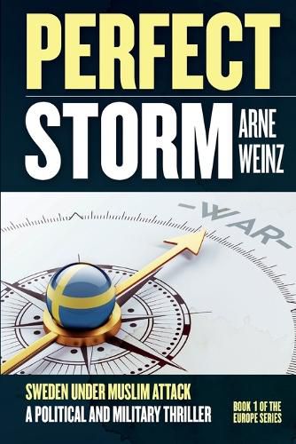 Cover image for Perfect Storm