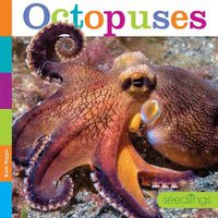 Cover image for Seedlings: Octopuses