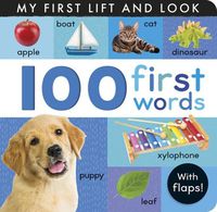 Cover image for 100 First Words: My First Lift and Look