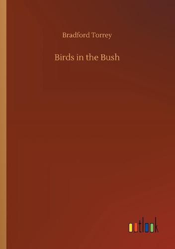 Birds in the Bush