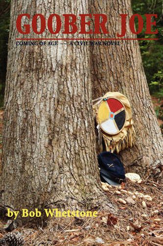 Cover image for Goober Joe: Coming of Age~A Civil War Novel