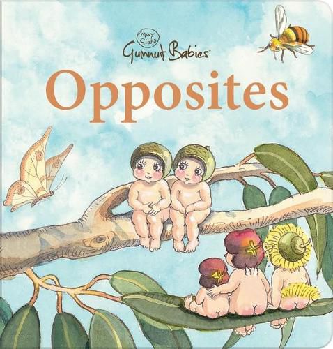 Cover image for Opposites (May Gibbs: Gumnut Babies)