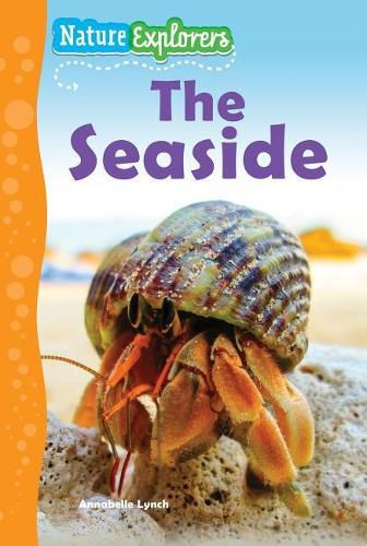 Cover image for The Seaside