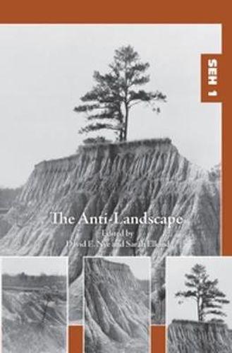 Cover image for The Anti-Landscape