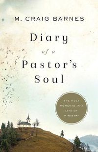 Cover image for Diary of a Pastor"s Soul - The Holy Moments in a Life of Ministry