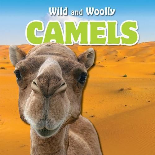 Cover image for Camels