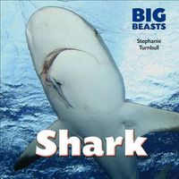 Cover image for Shark