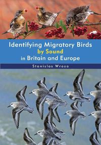 Cover image for Identifying Migratory Birds by Sound in Britain and Europe