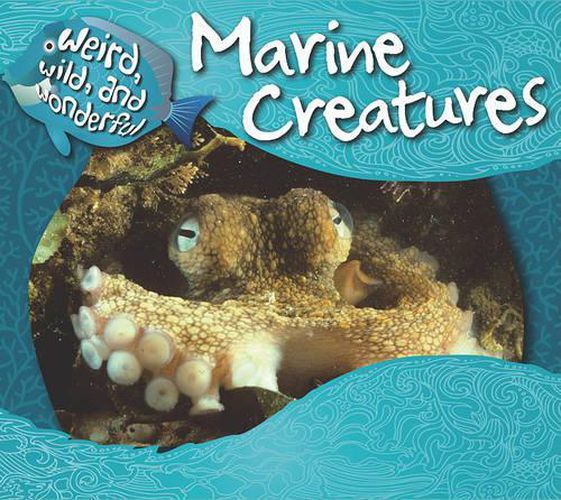 Marine Creatures