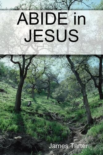 Cover image for ABIDE in JESUS