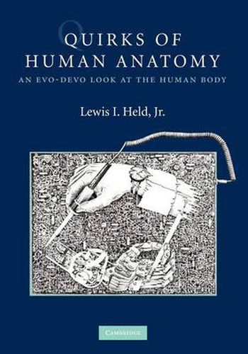 Cover image for Quirks of Human Anatomy: An Evo-Devo Look at the Human Body