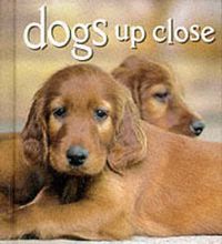 Cover image for Dogs Up Close