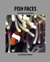 Cover image for Fish Faces