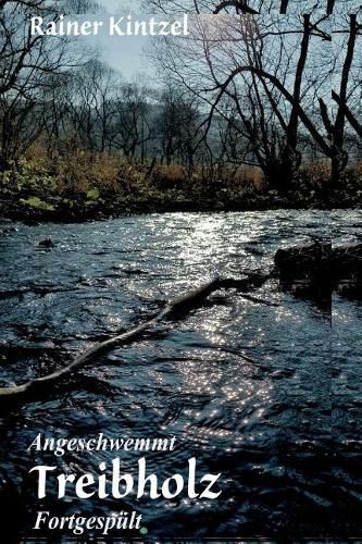 Cover image for Treibholz