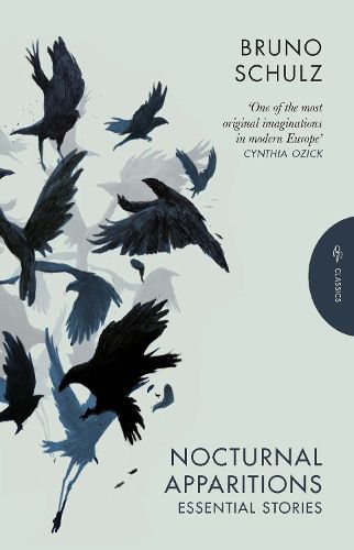 Cover image for Nocturnal Apparitions