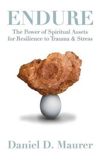 Cover image for Endure: The Power of Spiritual Assets for Resilience to Trauma & Stress